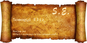 Somogyi Eliz névjegykártya